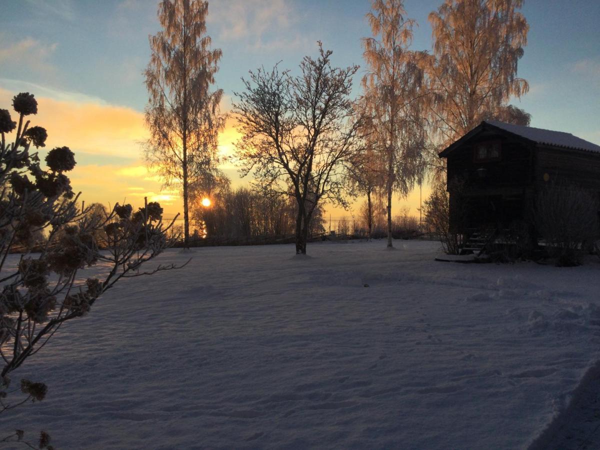Mysigt Boende I Raettvik Med Utsikt Oever Siljan المظهر الخارجي الصورة
