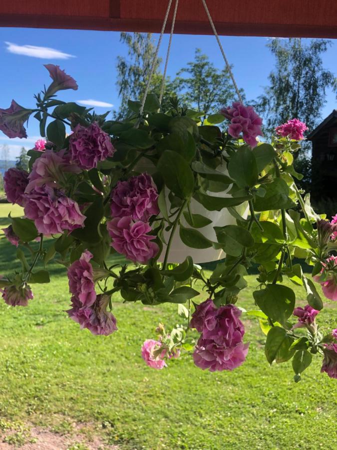 Mysigt Boende I Raettvik Med Utsikt Oever Siljan المظهر الخارجي الصورة