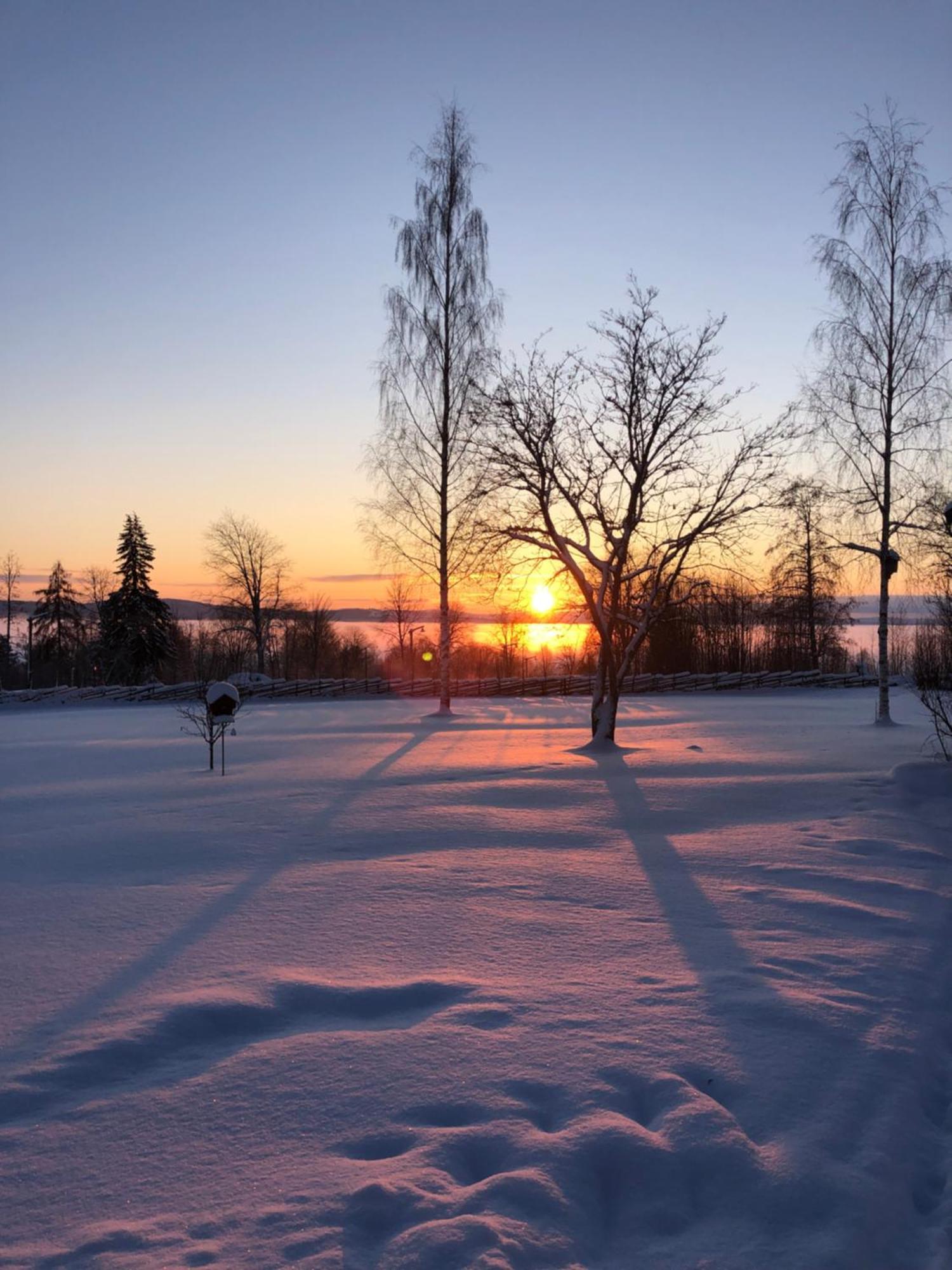 Mysigt Boende I Raettvik Med Utsikt Oever Siljan المظهر الخارجي الصورة
