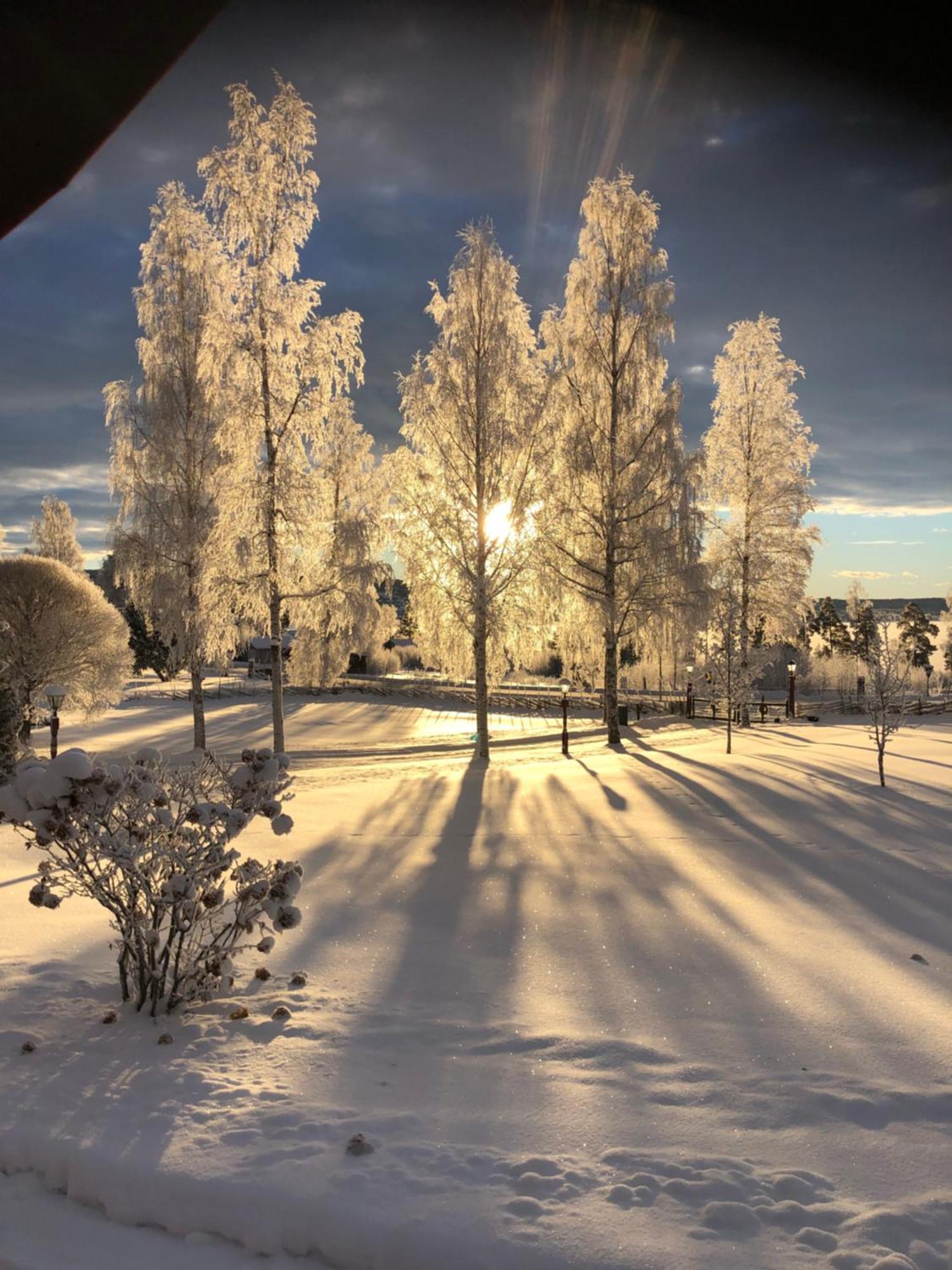 Mysigt Boende I Raettvik Med Utsikt Oever Siljan المظهر الخارجي الصورة