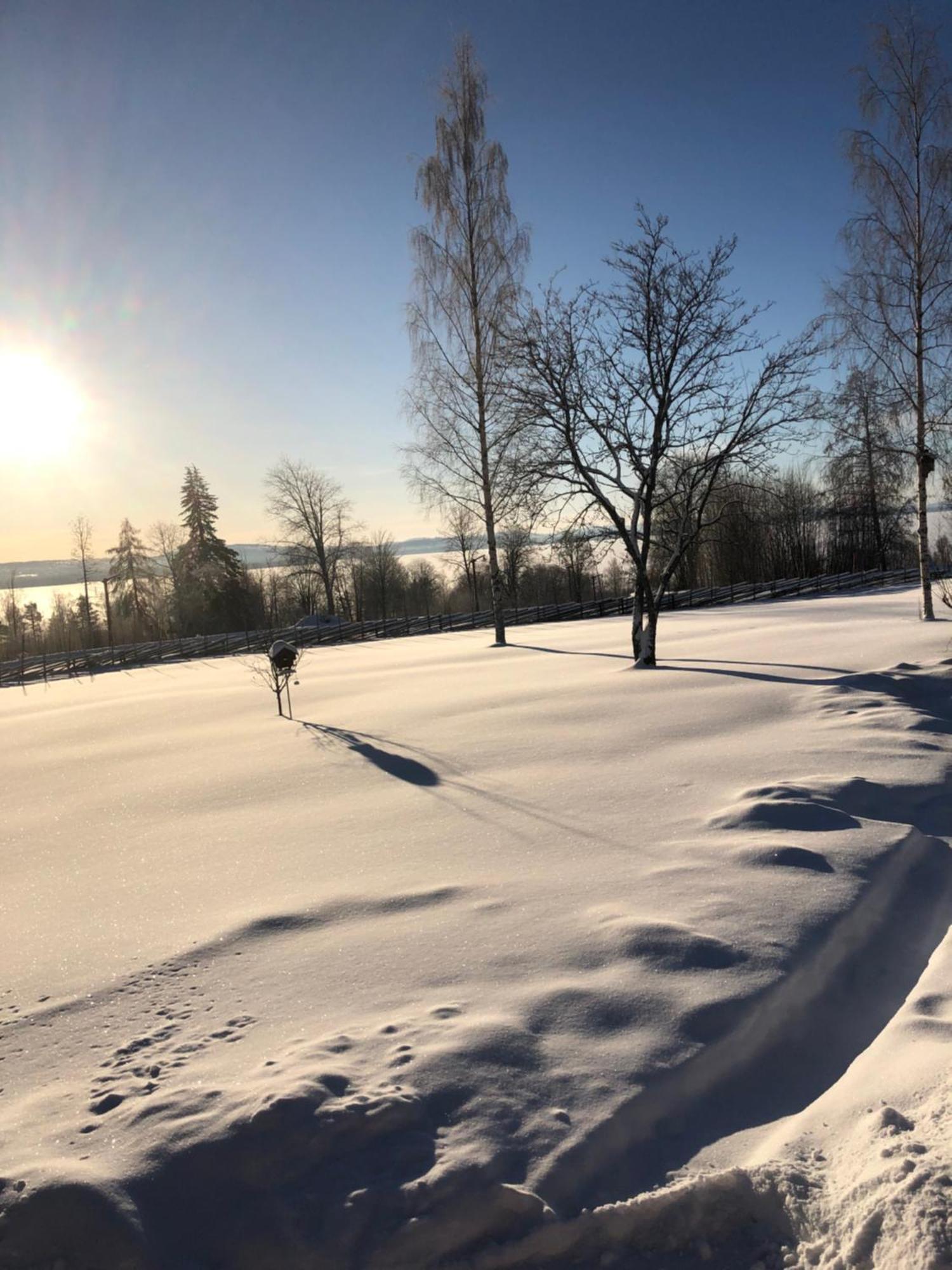 Mysigt Boende I Raettvik Med Utsikt Oever Siljan المظهر الخارجي الصورة