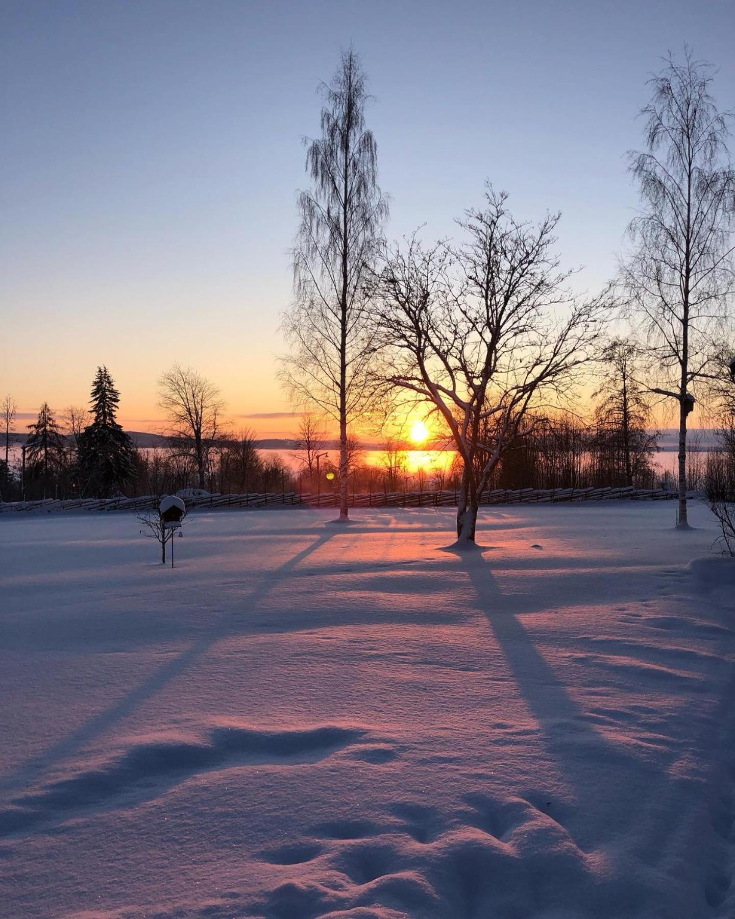 Mysigt Boende I Raettvik Med Utsikt Oever Siljan المظهر الخارجي الصورة