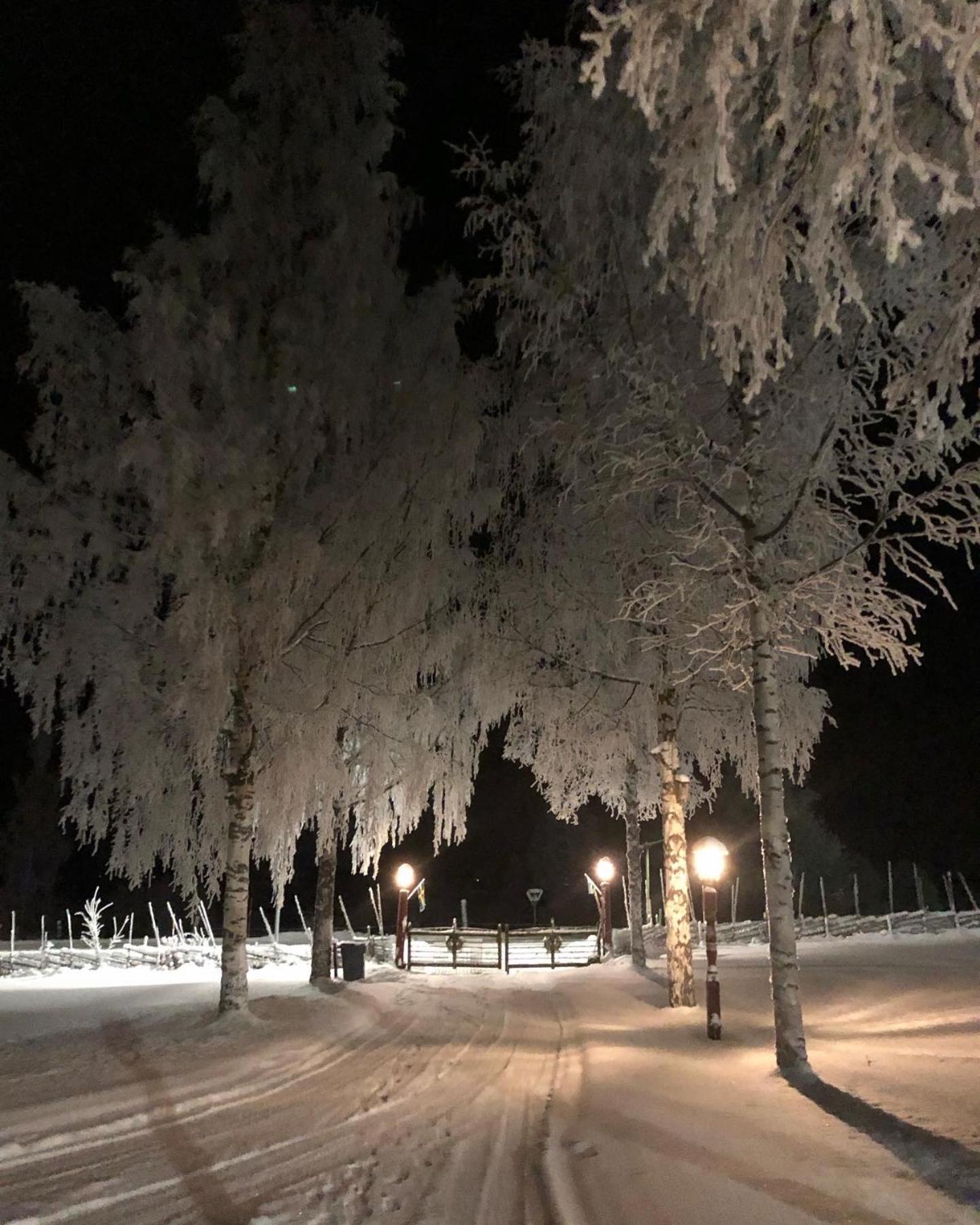 Mysigt Boende I Raettvik Med Utsikt Oever Siljan المظهر الخارجي الصورة